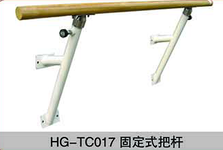 HG-TC017固定式把桿