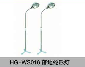 HG-WS016落地蛇形燈.